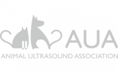 animal-ultrasound-association
